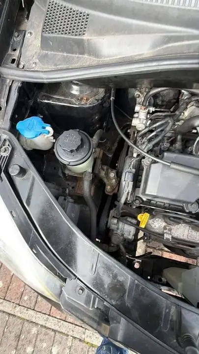 Kia Picanto 2009 photo 5