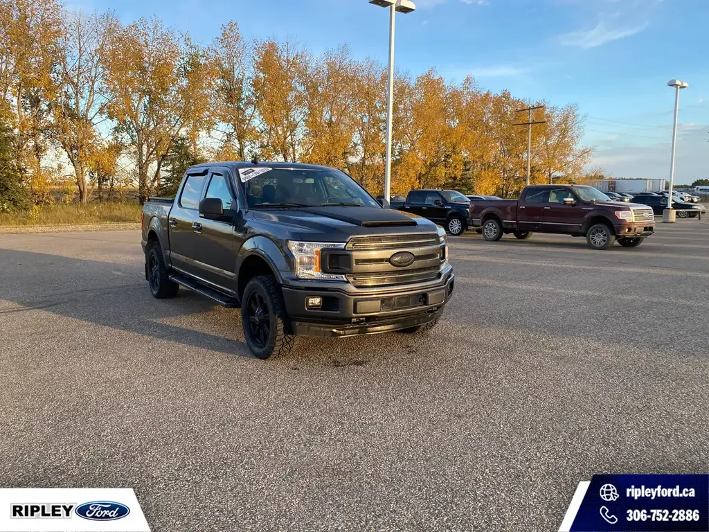 Ford F-150 2019 photo 3