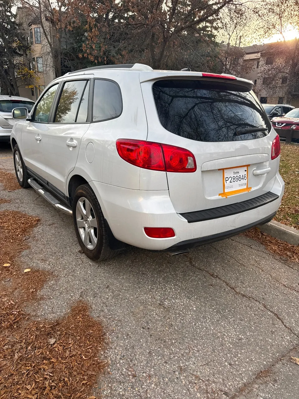 Hyundai Santa Fe 2009 photo 2
