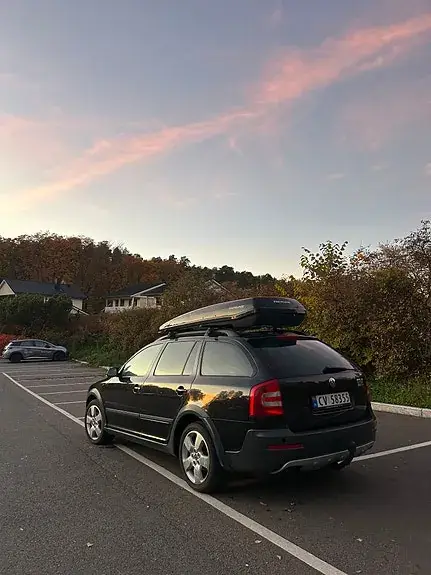 Skoda Octavia Scout 2008 photo 4