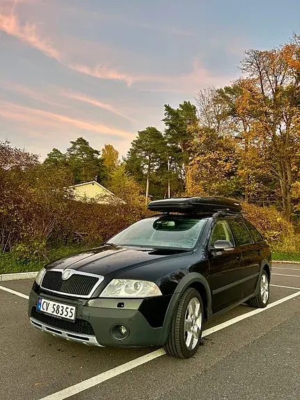 Skoda Octavia Scout 2008 photo 3