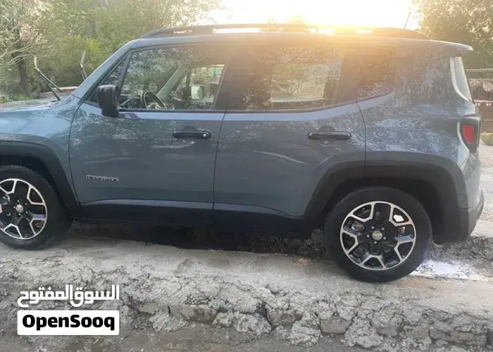 Jeep Renegade 2018 photo 2