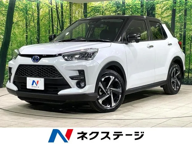 Toyota Riz Hybrid