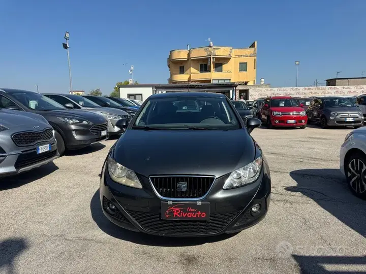 Seat Ibiza 2010 photo 2