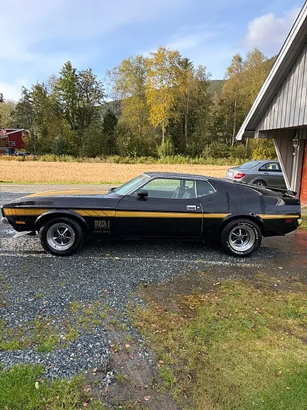 Ford Mustang 1971 photo 2