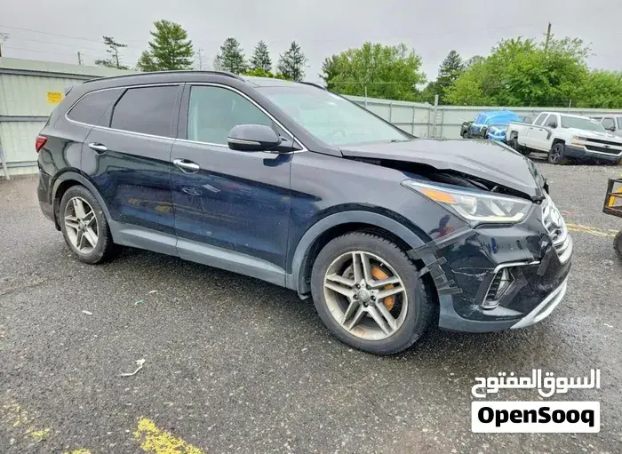 Hyundai Santa Fe 2018 photo 2