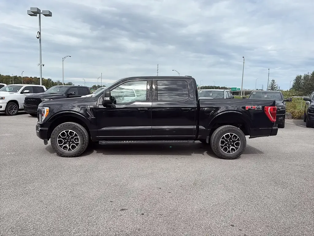 Ford F-150 2022 photo 3