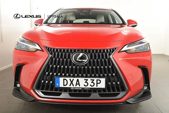 Lexus Nx450H+ 2025 photo 5