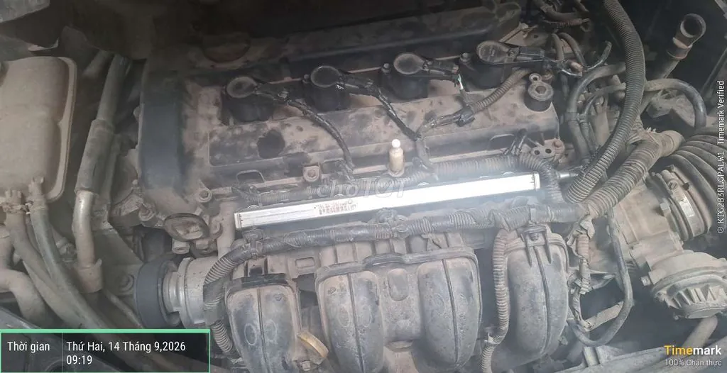Ford Focus 2009 photo 3