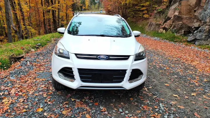 Ford Escape 2015 photo 3