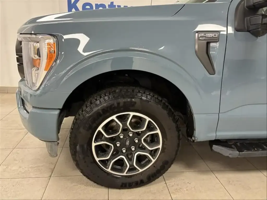 Ford F-150 2023 photo 3