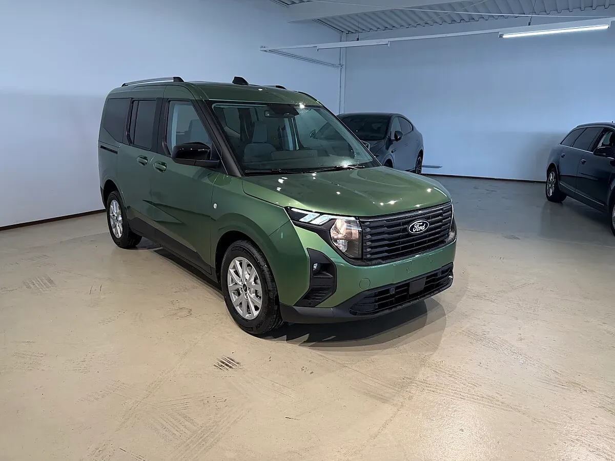 Ford Tourneo photo 3