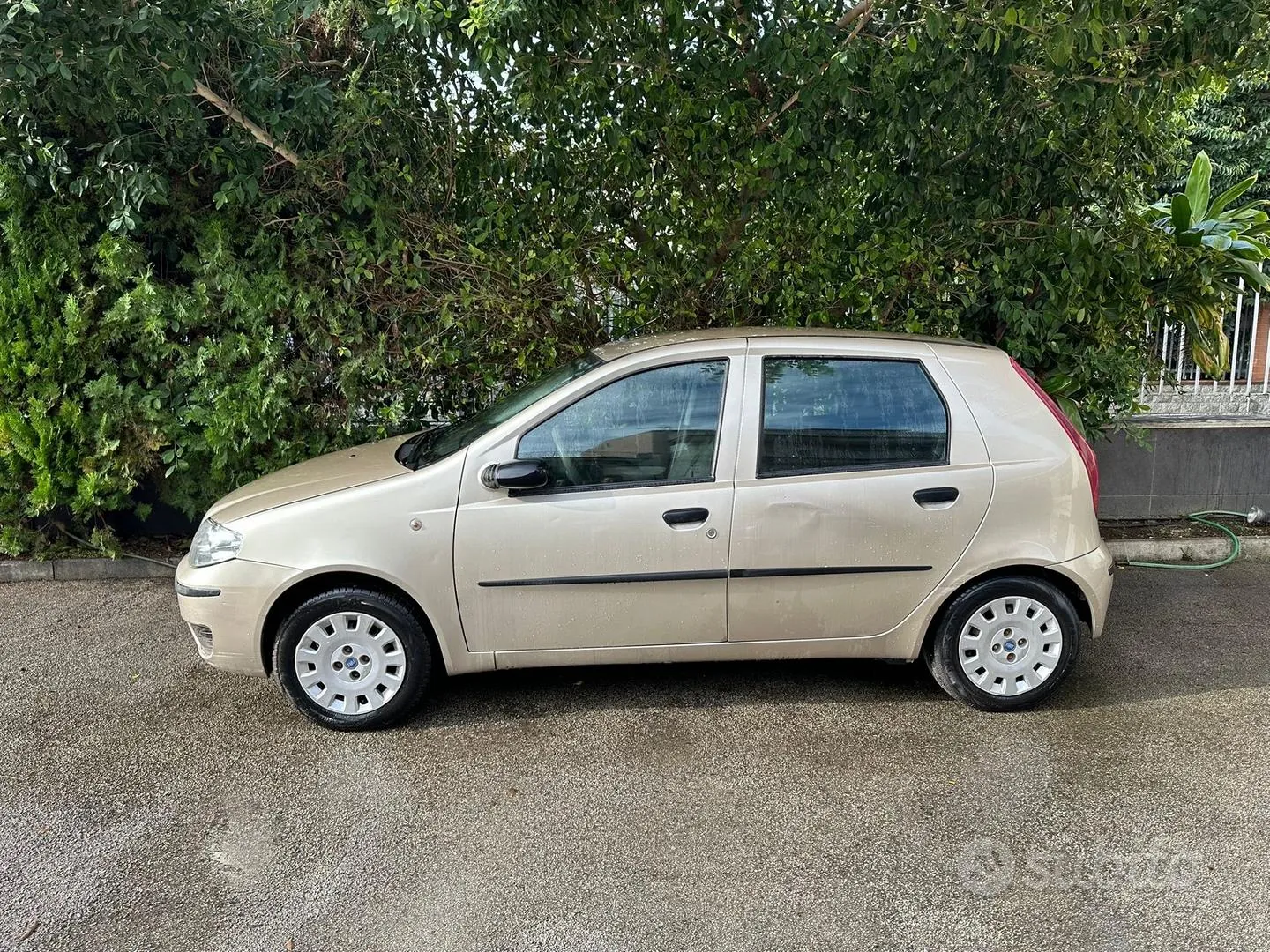 Fiat Punto 2009 photo 3
