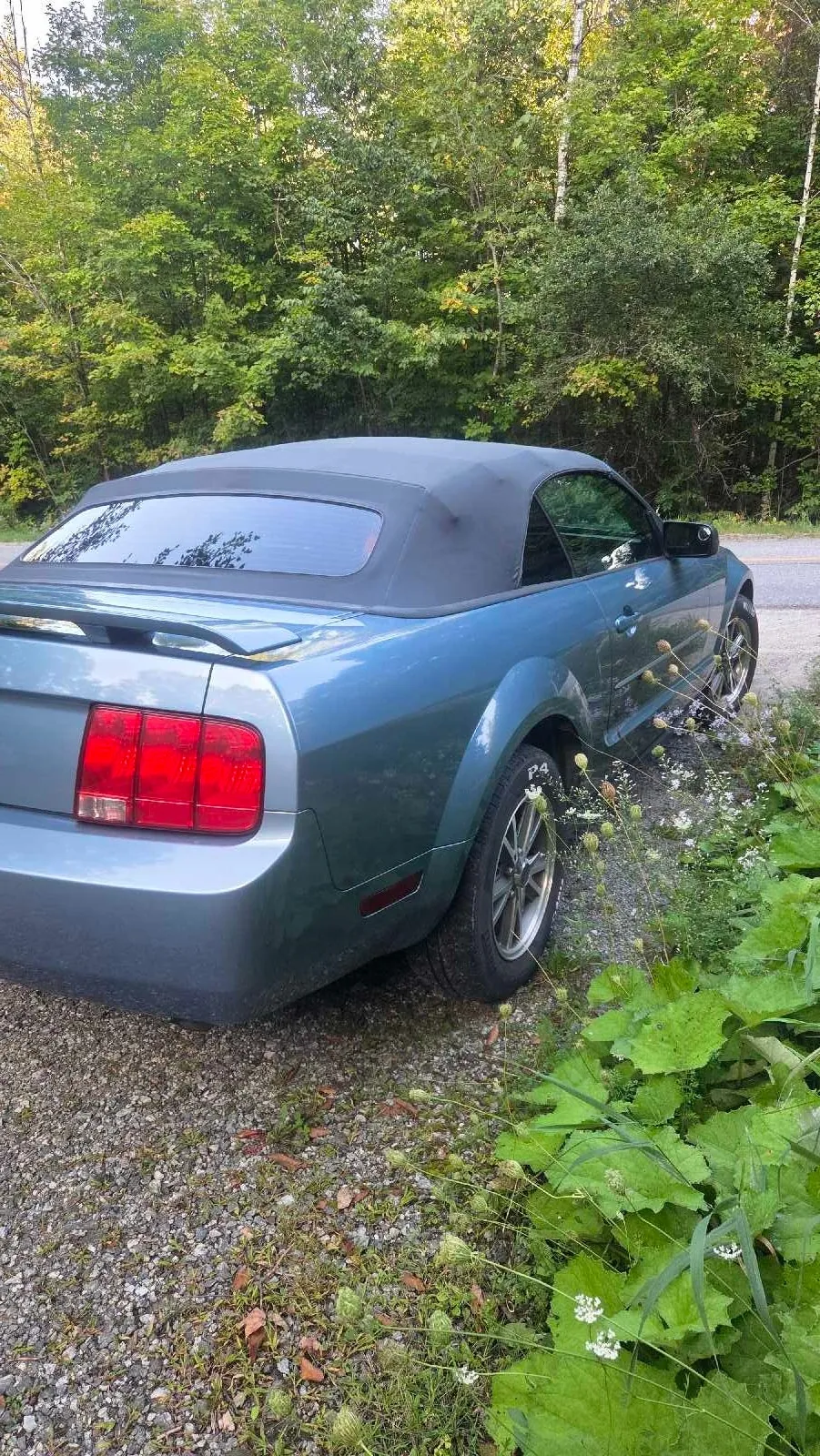 Ford Mustang 2005 photo 4