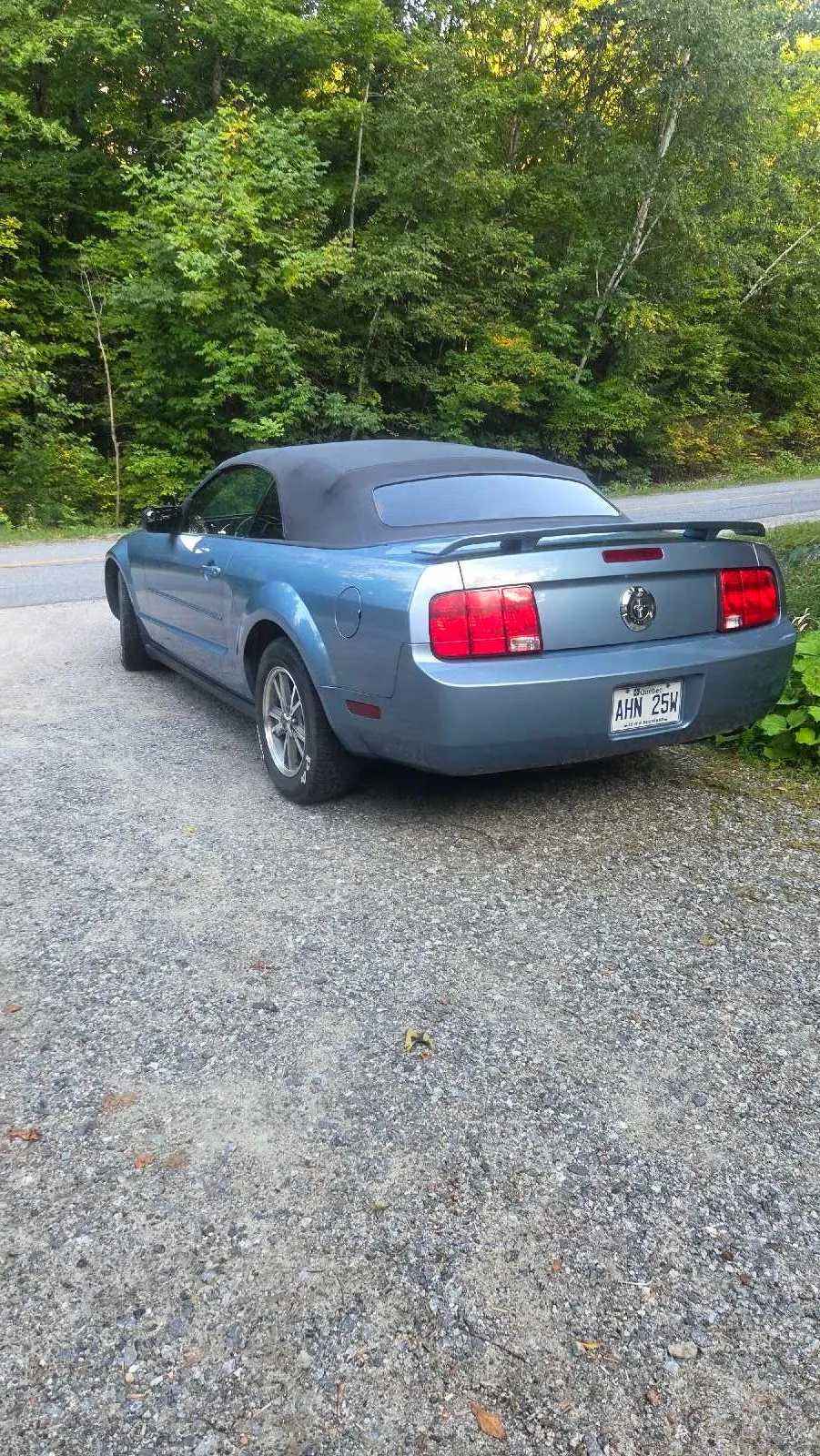 Ford Mustang 2005 photo 3