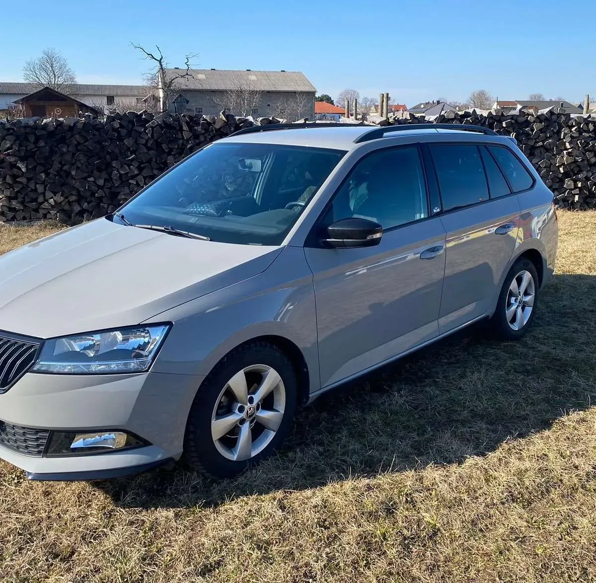 Skoda Fabia 2019 photo 2