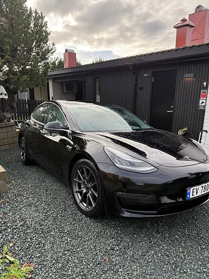 Tesla Model 3 2019 photo 2