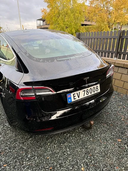 Tesla Model 3 2019 photo 3