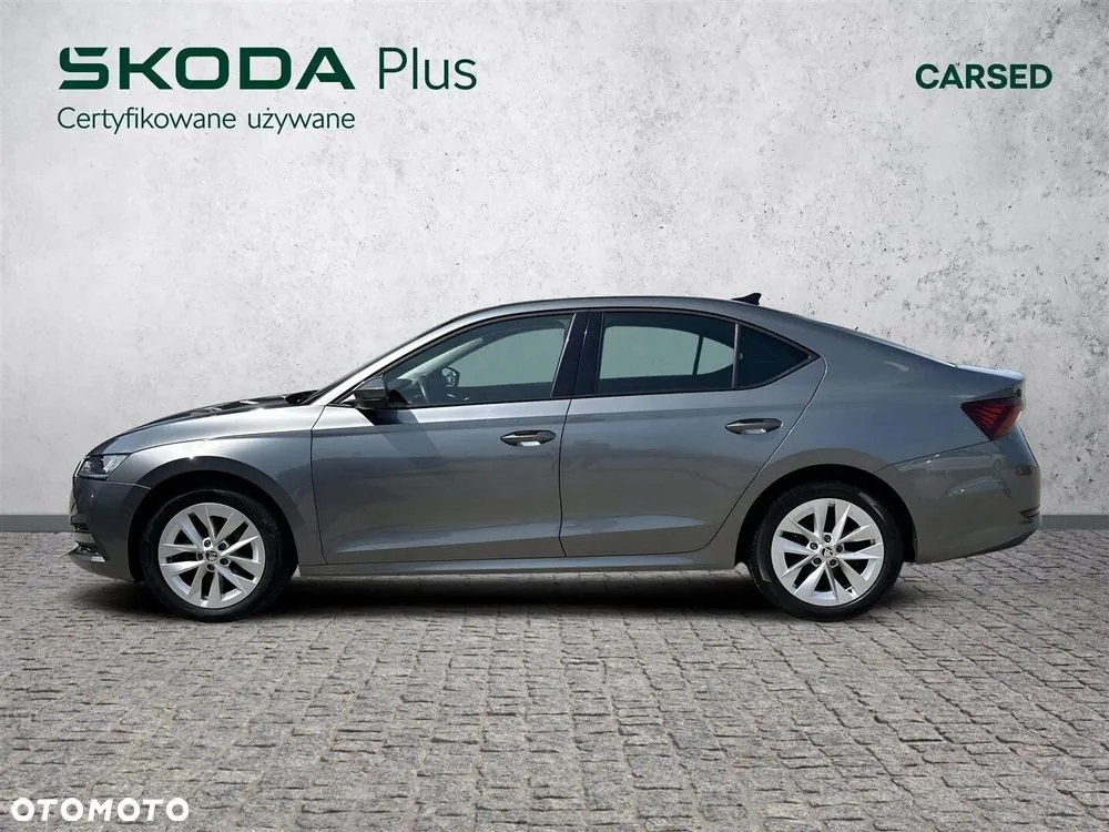 Skoda Octavia 2024 photo 3