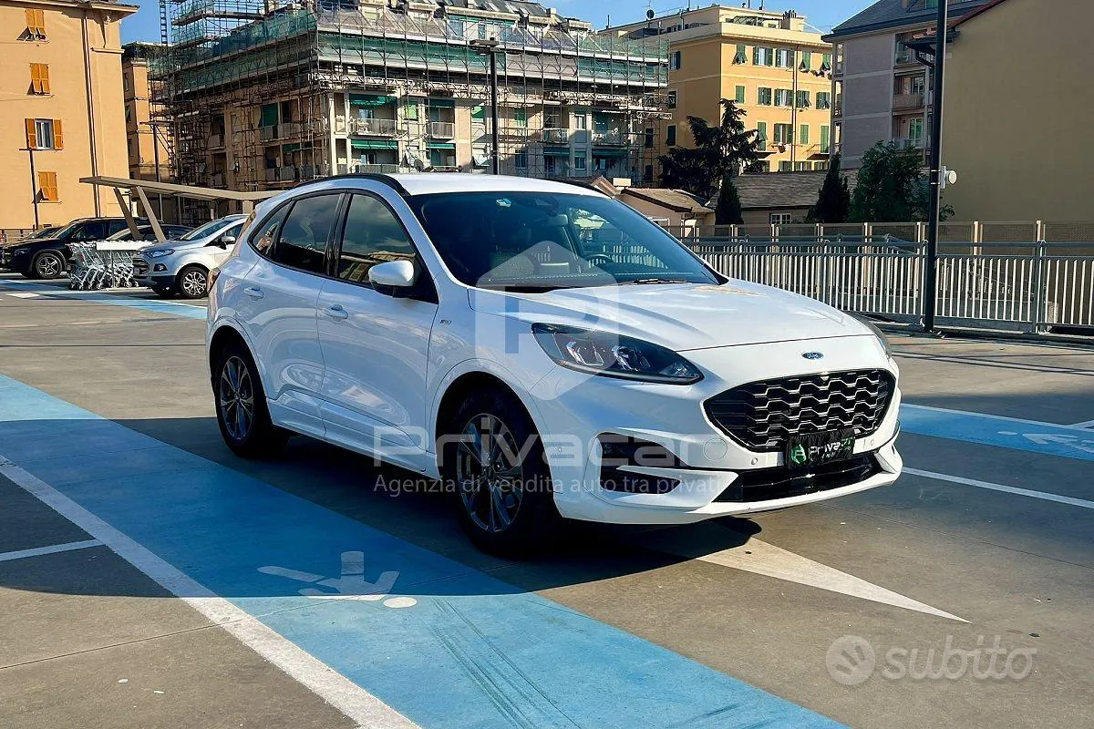 Ford Kuga 2020 photo 3