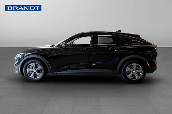 Ford Mustang Mach-E 2022 photo 3