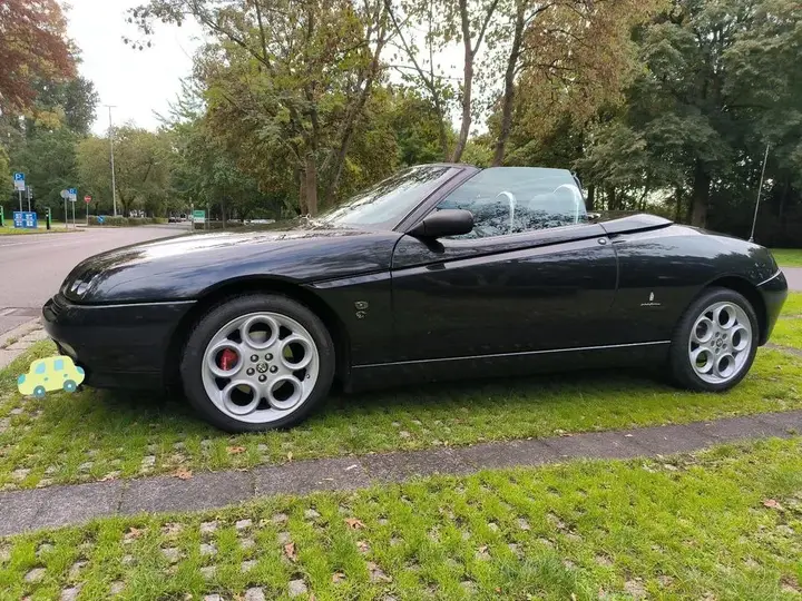 Alfa Romeo Spider