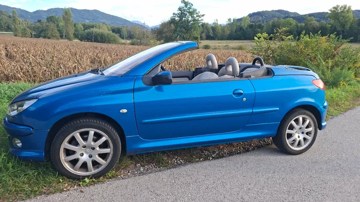Peugeot 206 2005 photo 2