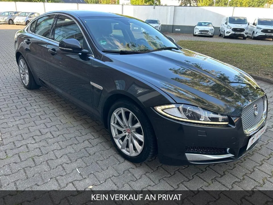 Jaguar Xf