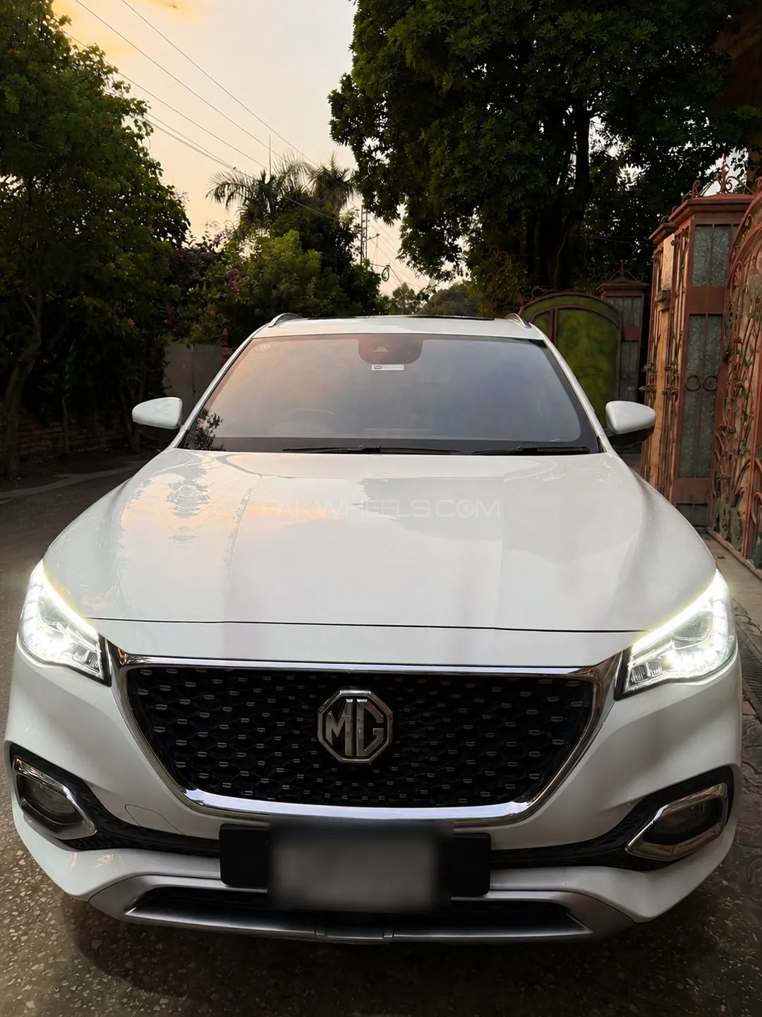 MG Hs