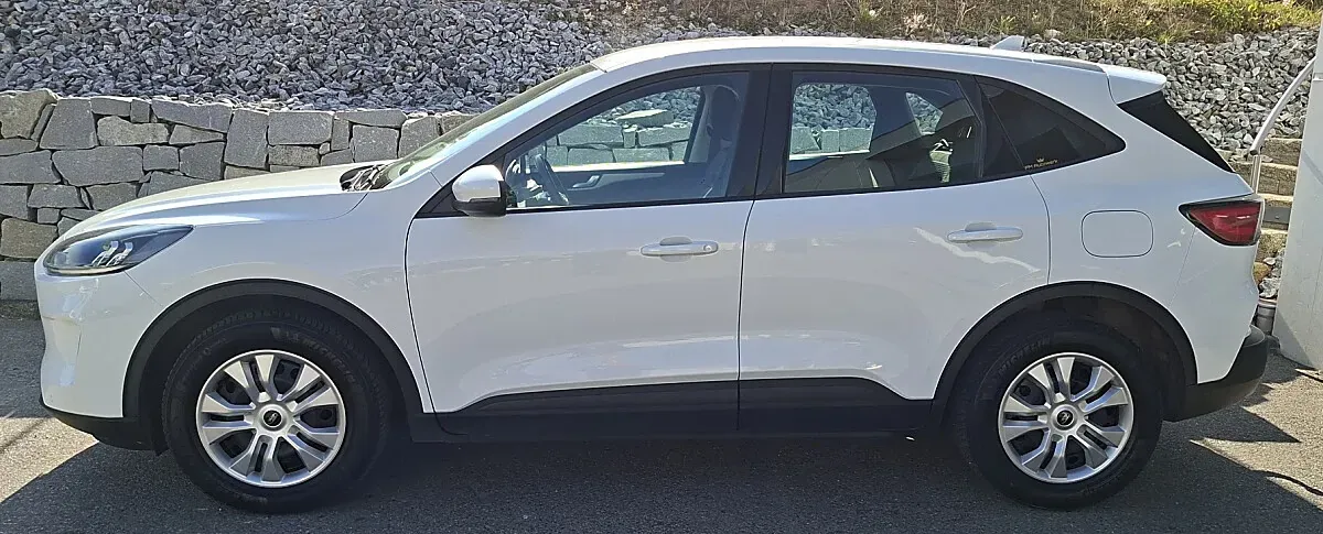 Ford Kuga 2020 photo 3