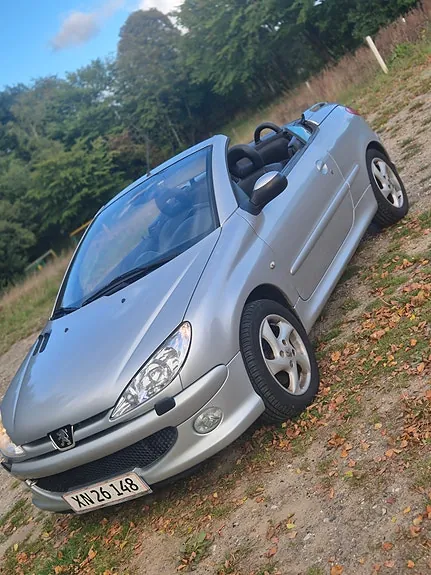 Peugeot 206 2005 photo 2