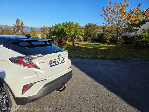 Toyota C-Hr 2019 photo 4