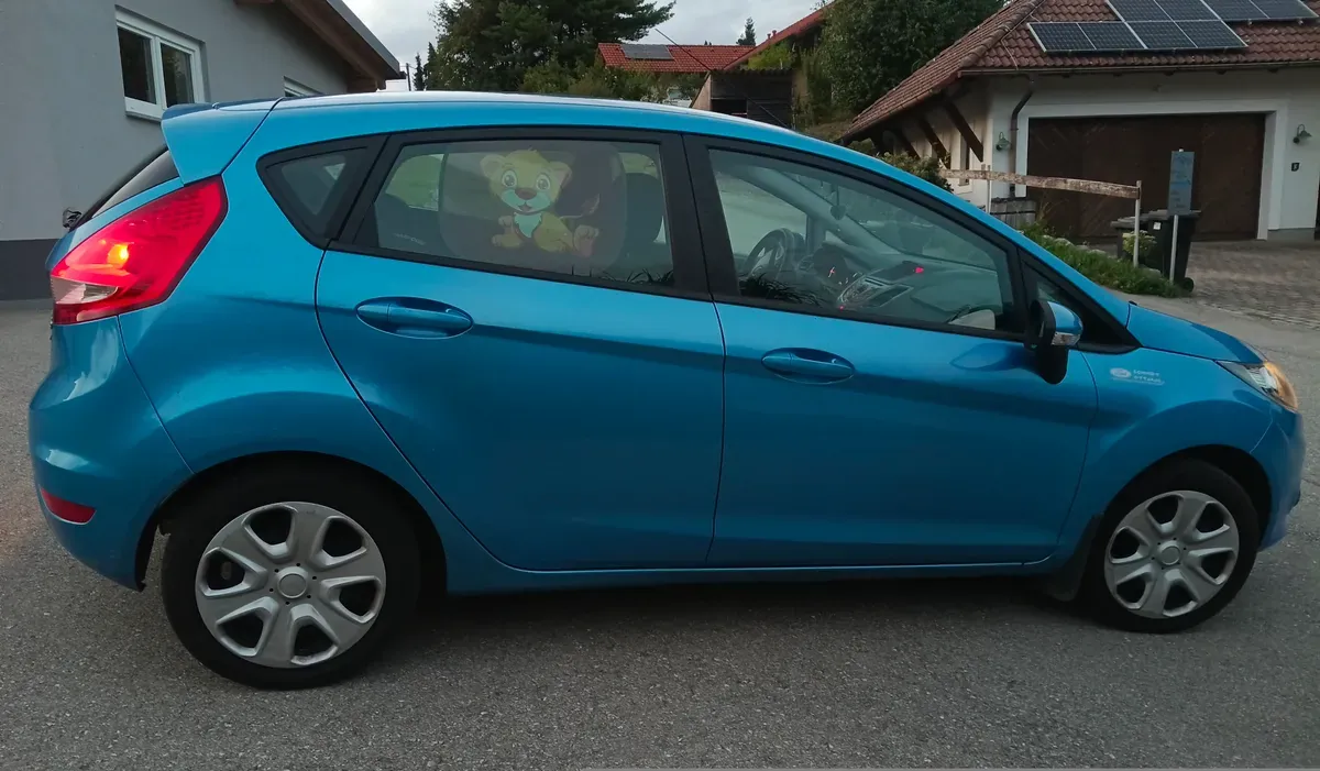 Ford Fiesta 2010 photo 3