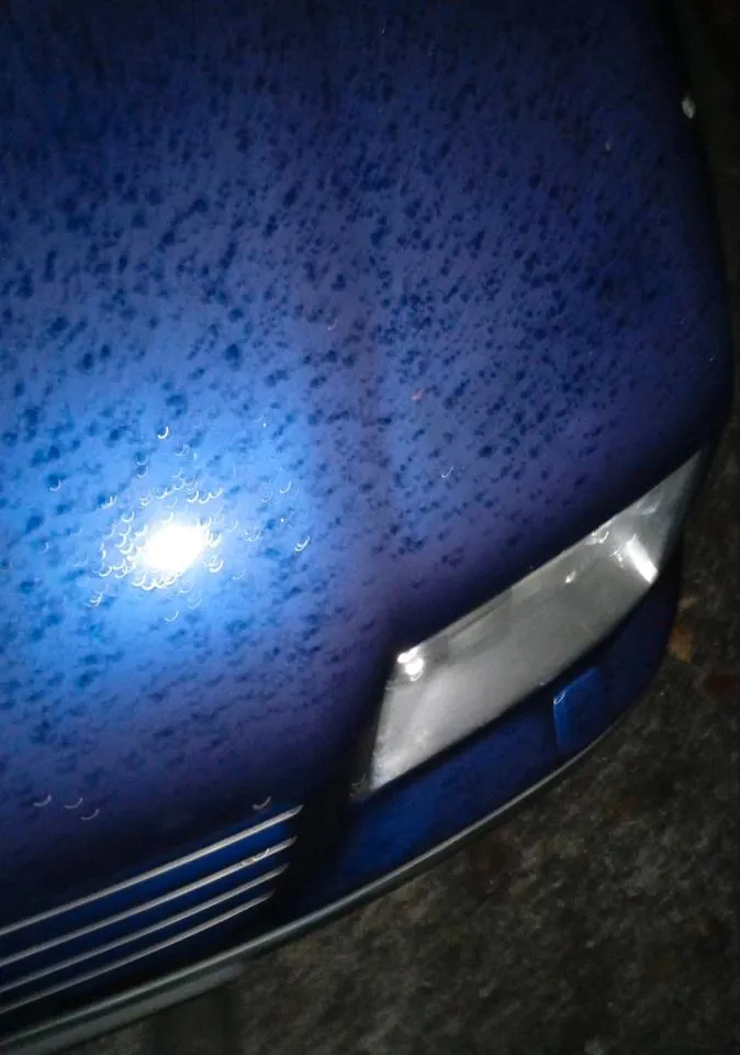 Volkswagen Bora