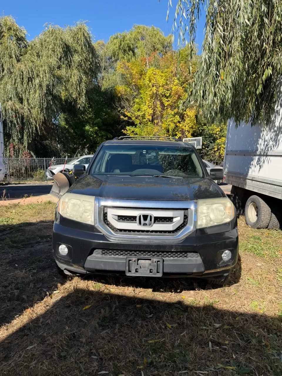 Honda Pilot 2009 photo 3