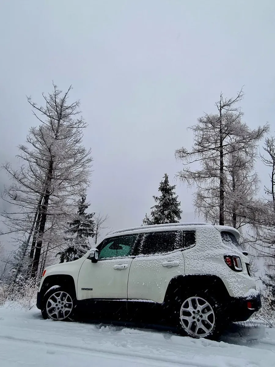 Jeep Renegade 2014 photo 2