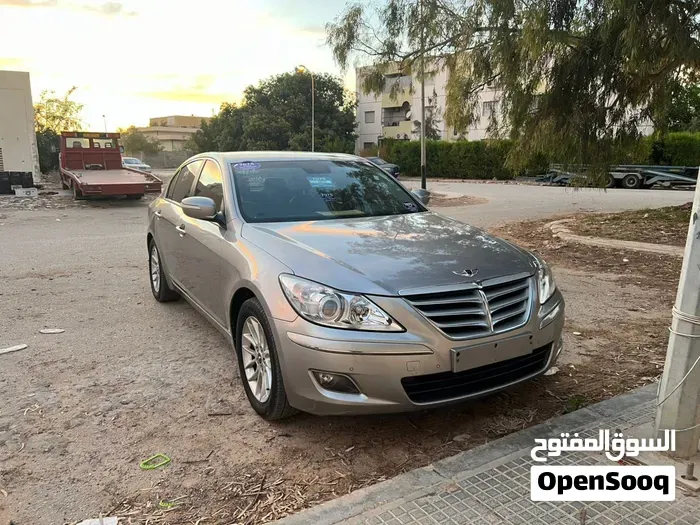 Genesis Sonata 2010 photo 5