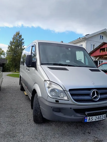 Mercedes-Benz Sprinter 316 2010 photo 2