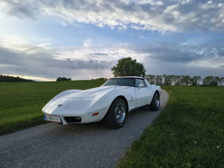 Chevrolet Corvette 1978 photo 3