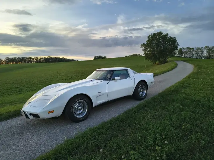 Chevrolet Corvette 1978 photo 2