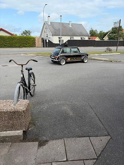Rover Mini