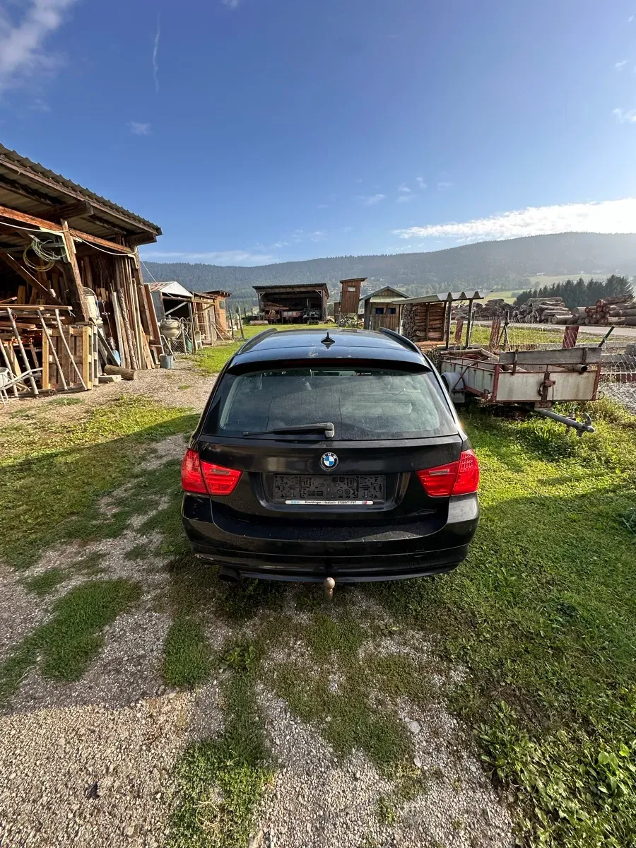 BMW 3 Series 2010 photo 2