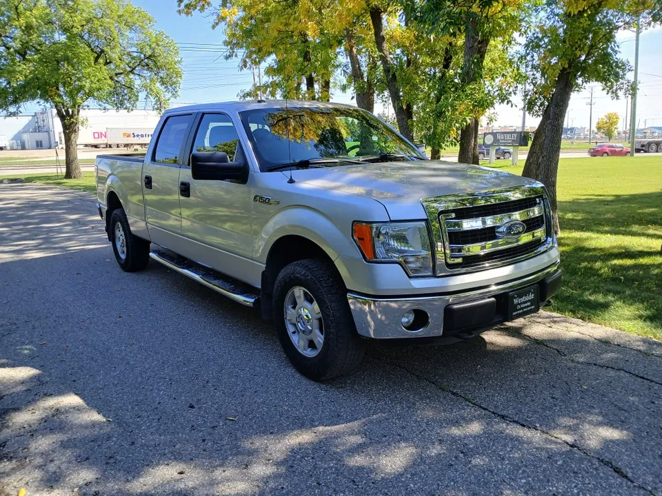 Ford F-150 2014 photo 3