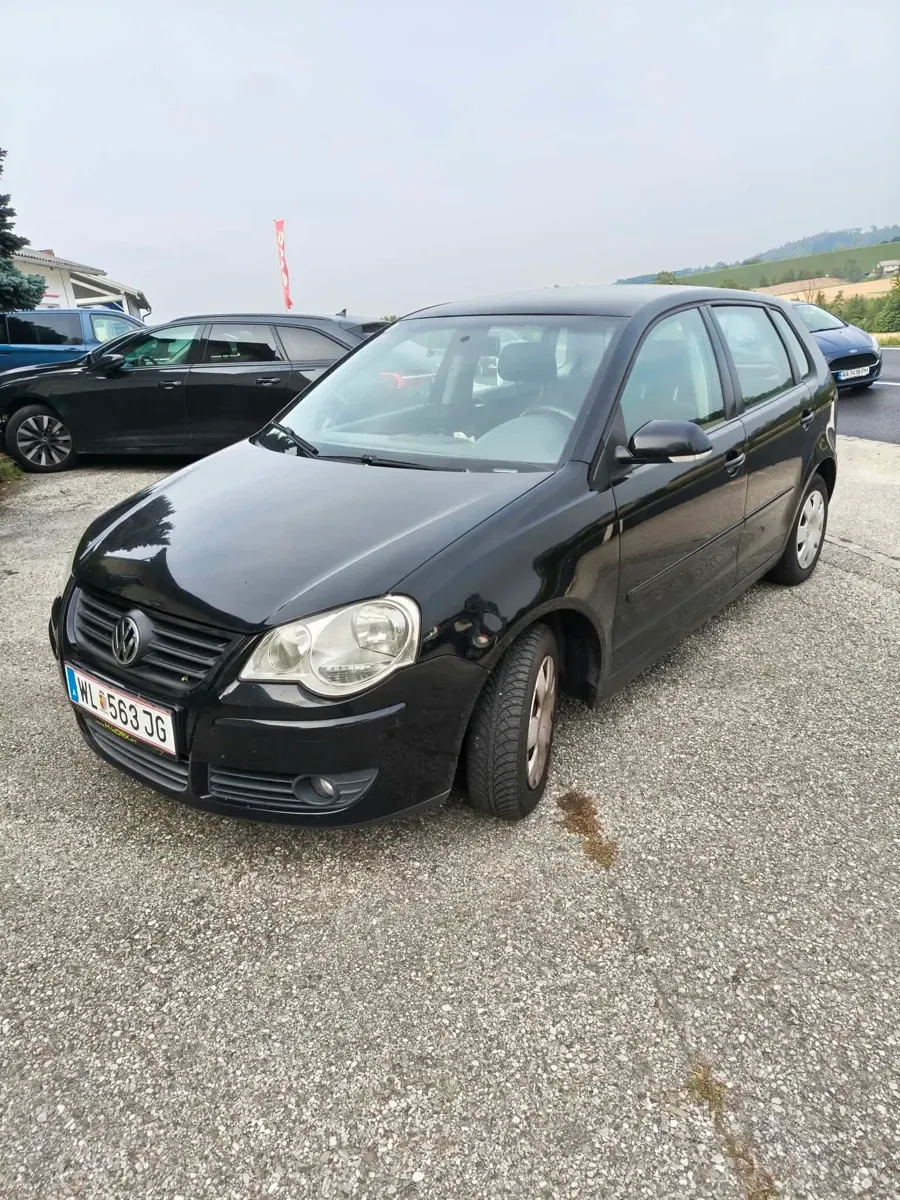 Volkswagen Polo 2009 photo 2
