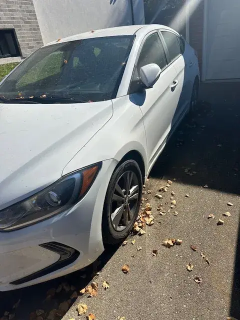 Hyundai Elantra 2018 photo 4
