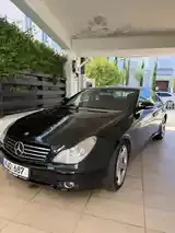 Mercedes-Benz Cls 2006 photo 2