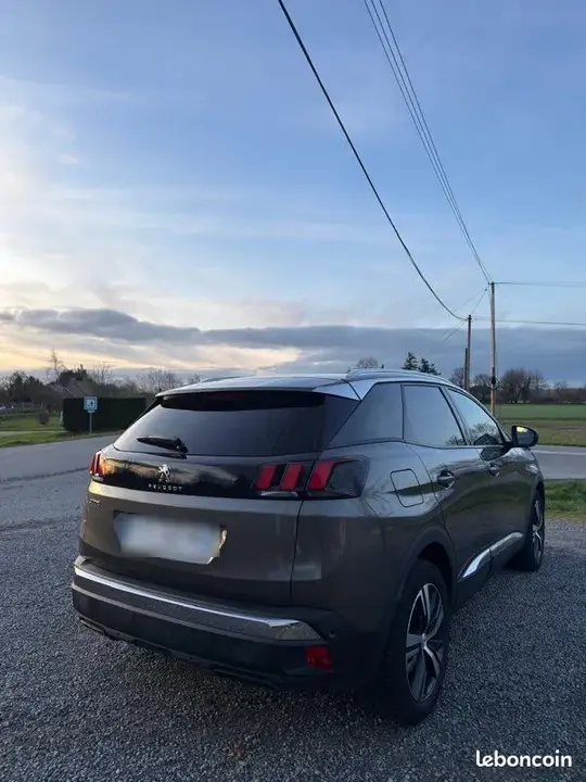 Peugeot 3008 2019 photo 3