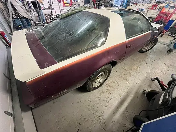 Pontiac Trans Am 1982 photo 2