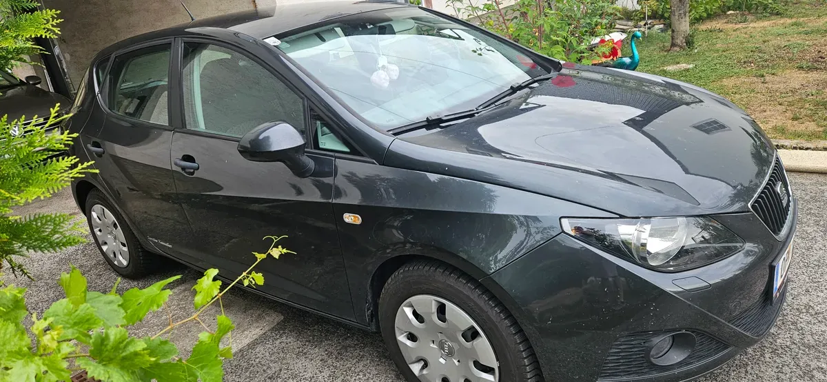 Seat Ibiza 2010 photo 2