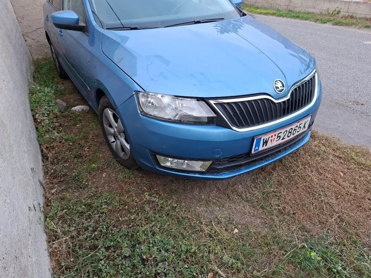 Skoda Rapid 2015 photo 3